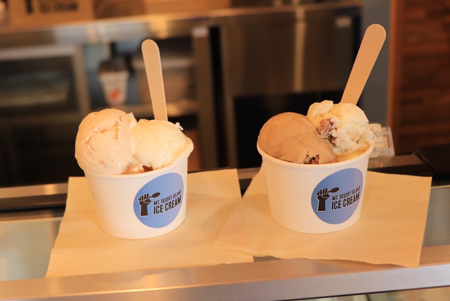 【お店アイス】無添加のこだわりアイス MT.DESERT ISLAND ICE CREAM（マウントデザートアイランドアイスクリーム）安曇野店